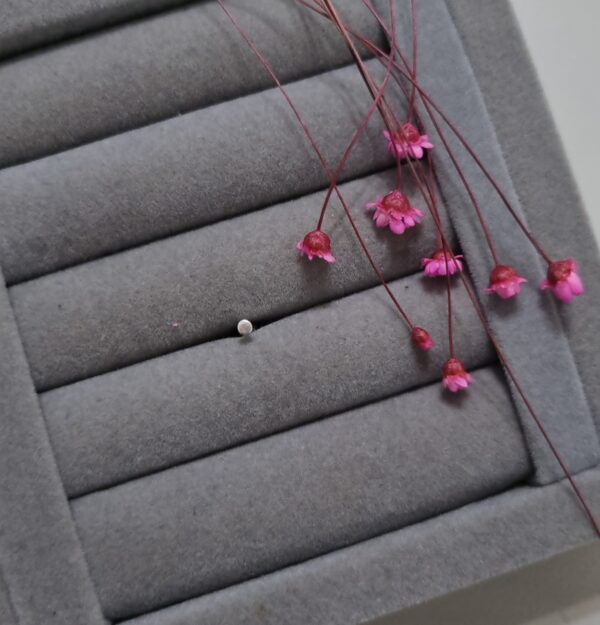 Piercing em Prata 925 - Imagem 2