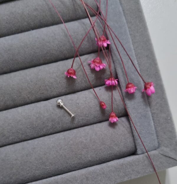Piercing em Prata 925 - Imagem 3