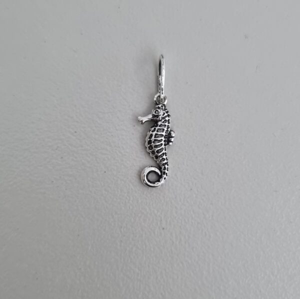 Pingente Cavalo Marinho 6mm x 22mm Prata 990 01-6623AG