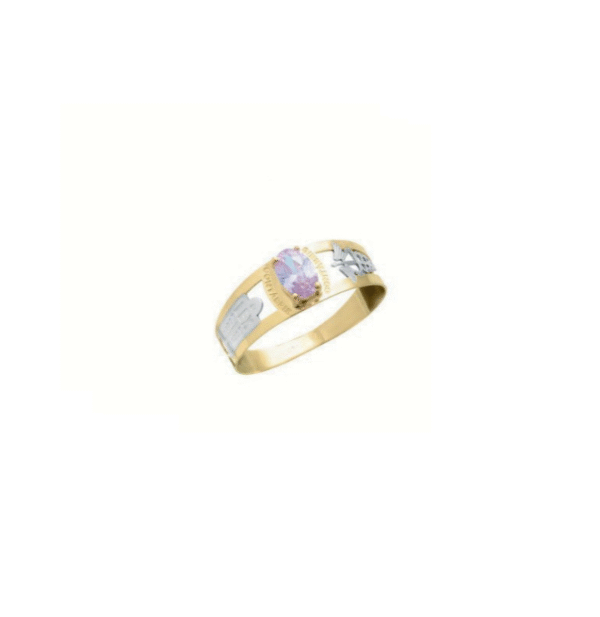 Anel de Formatura Feminino – Ouro 18k ANF526 - Imagem 5