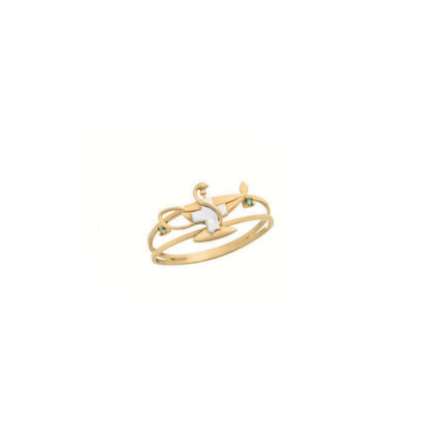 Anel de Formatura Feminino – Ouro 18k ANF251