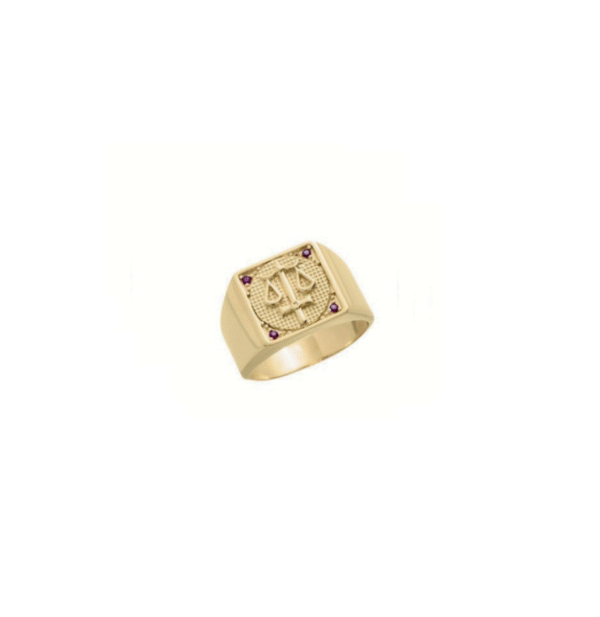 Anel Formatura Masculino Ouro 18k – ANF292